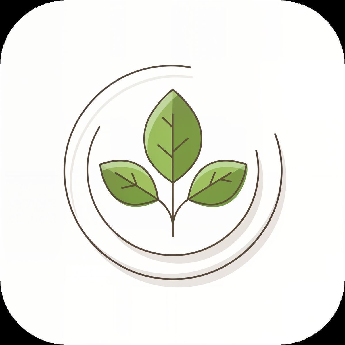 Yummi Organics gallery image 4